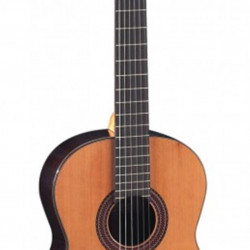 Paco Castillo 203 Classic Guitar Paco Castillo 203 Classic Guitar