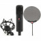 SE ELECTRONICS SE2200A II C STUDIO MICROPHONE SE ELECTRONICS SE2200A II C STUDIO MICROPHONE