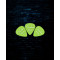 Fender 351 Shape Glow in the Dark Picks Pack - Mixed Sizes