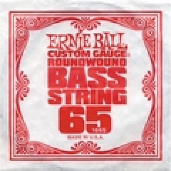 ERNIE BALL 1665 BASS STRING CUSTOM GAUGE 0.65