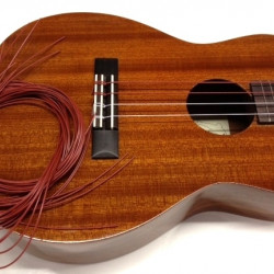 Aquila
 87U Set di corde per Ukulele Tenore - High G - Red Series