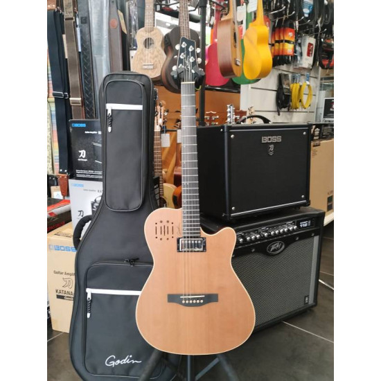 Godin A6 Ultra Natural 2nd Godin A6 Ultra Natural 2nd