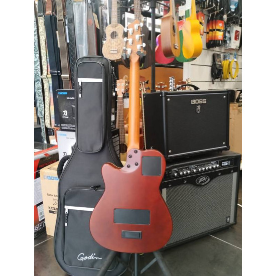 Godin A6 Ultra Natural 2nd Godin A6 Ultra Natural 2nd