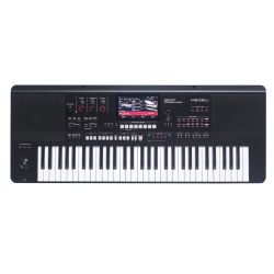 MEDELI AKX10S TASTIERA ARRANGER