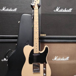 Fender ASH Telecaster 2006 Honey Blonde