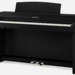 Kawai CN301 Black