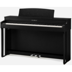 Kawai CN301 Black