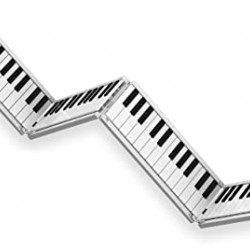 Blackstar Carry On Folding Digital Piano 88