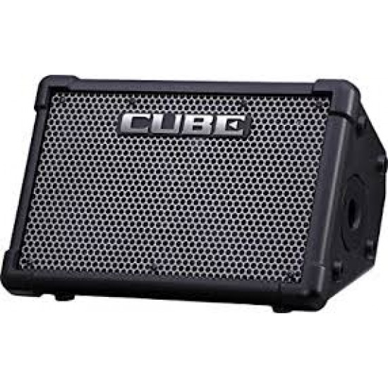 Roland Cube Street EX Multipurpose Combo