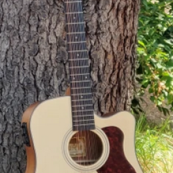 Vermont D112CE-N Acoustic Electrified 12 Strings Guitar Natural