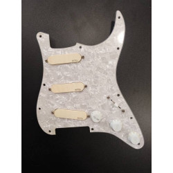 EMG DG20 David Gilmour Set 2nd