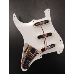 EMG DG20 David Gilmour Set 2nd