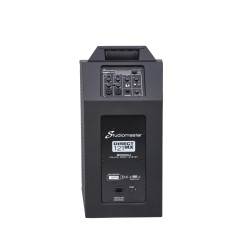 STUDIOMASTER DIRECT121MX SISTEMA PA A COLONNA IN LEGNO CON MIXER E BORSE STUDIOMASTER DIRECT121MX SISTEMA PA A COLONNA IN LEGNO CON MIXER E BORSE