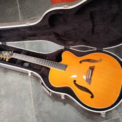 Takamine DSP022AF Jazz Guitar 2nd - Made in Japan - SOLD!!