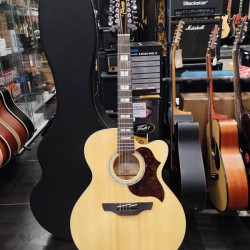 Takamine EG523SC-12 2nd - Chitarra acustica 12 corde con astuccio