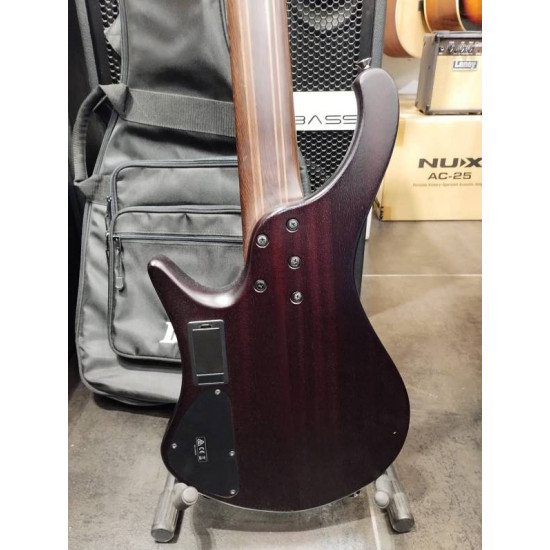 Ibanez EHB1505 Dragon Eye Burst Low Gloss 2nd