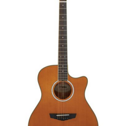 D'Angelico EXCEL GRAMERCY VINTAGE NATURAL w/Bag