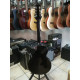 Epiphone FlameKat 1999 Epiphone FlameKat 1999
