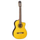 TAKAMINE GC5CE NATURAL