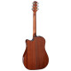 TAKAMINE GD30CE-NAT