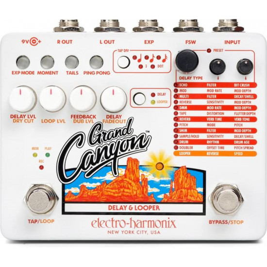 Electro Harmonix GRAND CANYON DELAY & LOOPER