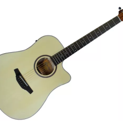 CRAFTER HD-100CE OP NT