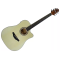 CRAFTER HD-100CE OP NT CRAFTER HD-100CE OP NT