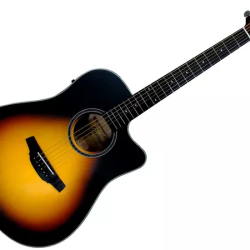 CRAFTER HD-100CE OP VS