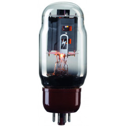 Tube Amp Doctor TAD KT66 Valvola Finale - Copertura larga in vetro e base rotonoda marrone - TAD PREMIUM Selected Tube Amp Doctor TAD KT66 Valvola Finale - Copertura larga in vetro e base rotonoda marrone - TAD PREMIUM Selected