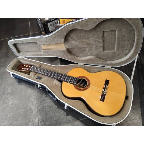 Paulino Bernabe Modelo-5 2006