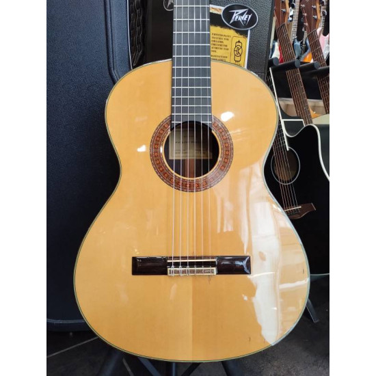 Paulino Bernabe Modelo-5 2006