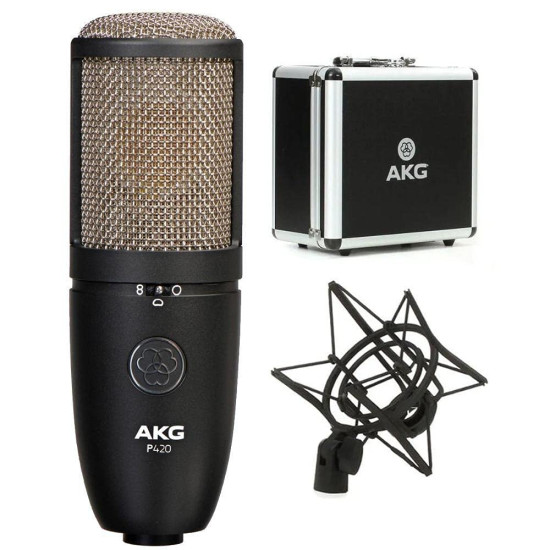 AKG P420 Perception Studio Microphone