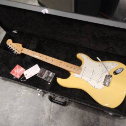 Fender PLAYER STRATOCASTER MN 2019 BCR w/case