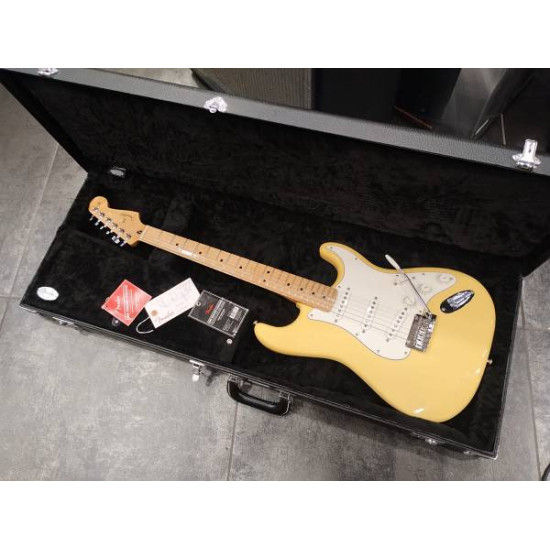 Fender PLAYER STRATOCASTER MN 2019 BCR w/case