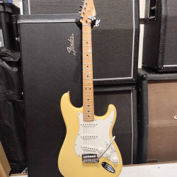 Fender PLAYER STRATOCASTER MN 2019 BCR w/case