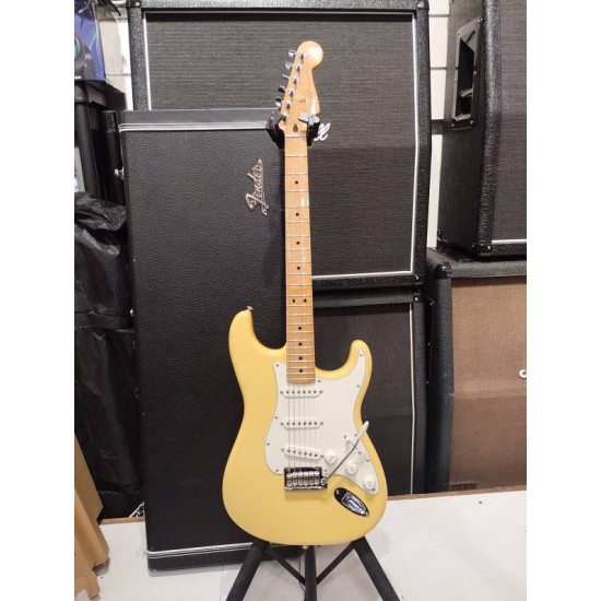 Fender PLAYER STRATOCASTER MN 2019 BCR w/case