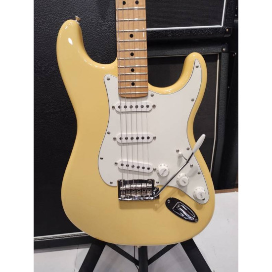 Fender PLAYER STRATOCASTER MN 2019 BCR w/case