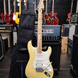Fender PLAYER STRATOCASTER HSS MN BCR 2020 - SOLD!!