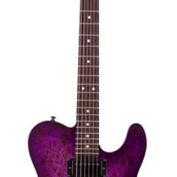 SCHECTER PT STANDARD PURPLE BURST BURL SCHECTER PT STANDARD PURPLE BURST BURL