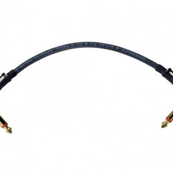 REFERENCE RIC43FX GR JrJr 10 cm CAVO PATCH Jack Jack