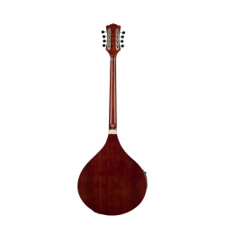 SOUNDSATION SBOU-20E BOUZOUKI IRLANDESE ELETTRIFICATO CON BORSA