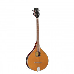 SOUNDSATION SBOU-20E BOUZOUKI IRLANDESE ELETTRIFICATO CON BORSA