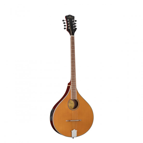 SOUNDSATION SBOU-20E BOUZOUKI IRLANDESE ELETTRIFICATO CON BORSA