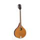 SOUNDSATION SBOU-20E BOUZOUKI IRLANDESE ELETTRIFICATO CON BORSA