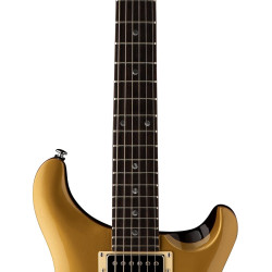 Paul Reed Smith PRS SE DGT David Grissom Gold Top w/Bag Paul Reed Smith PRS SE DGT David Grissom Gold Top w/Bag