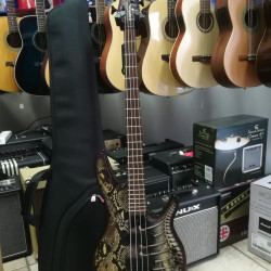 Washburn BB4 Bantam Active Bass Graphic Skin And Bones 2nd - SOLD!