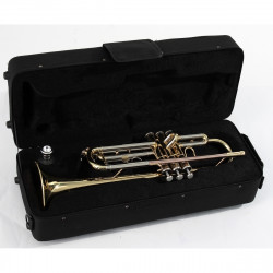SOUNDSATION STPGD-10 GOLD TROMBA SIb SOUNDSATION STPGD-10 GOLD TROMBA SIb