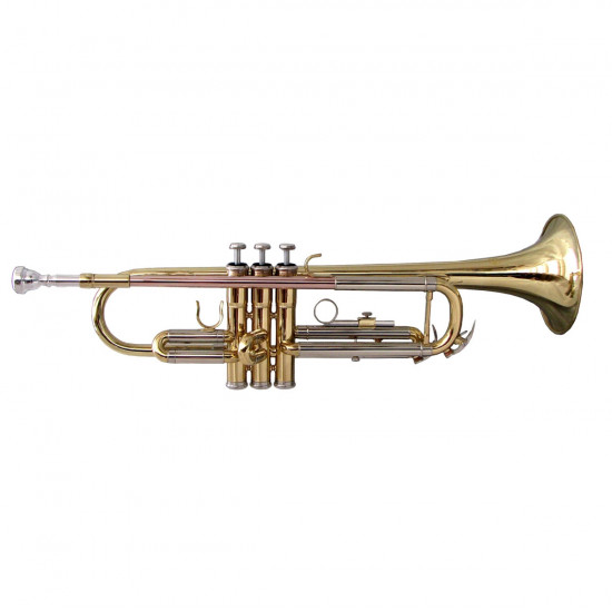 SOUNDSATION STPGD-10 GOLD TROMBA SIb