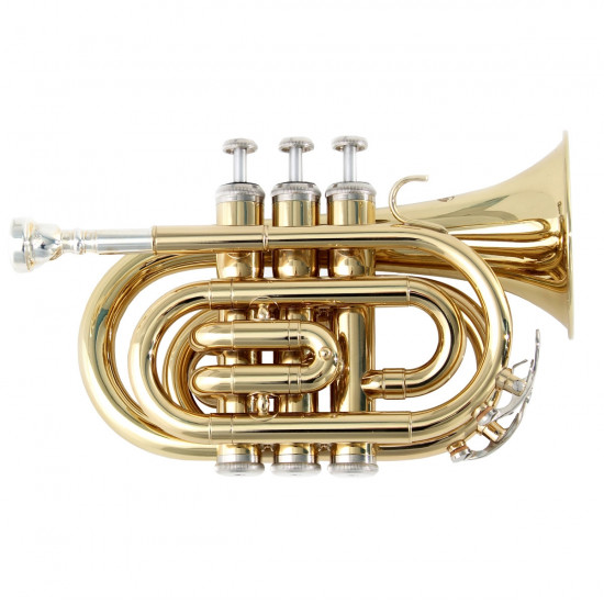 SOUNDSATION STPGD-10P TROMBA POCKET GOLD