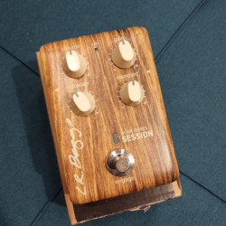 L.R. Baggs ALIGN SESSION 2nd